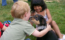 Dogs & Children